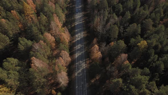 Closeup road with traffic cars between autumn forest in Ural