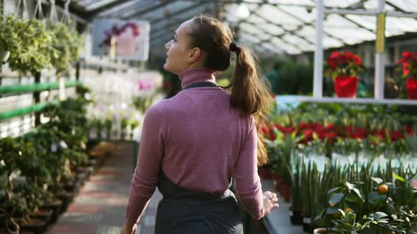 Back View of Female Florist Touching Leaves of Different Plants While Walking Among Rows of Flowers alt