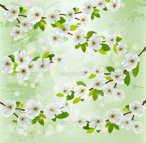 Nature Background with White Blossoming Branches - Flowers & Plants Nature