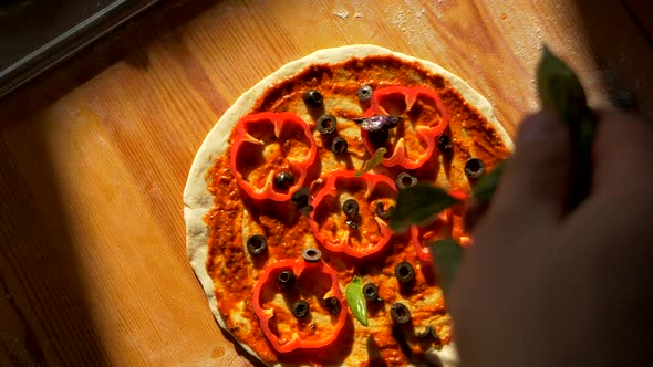 Close Up Shot of Dressing Italian Pizza Pie with Basil Leaves By Male Chef Cook