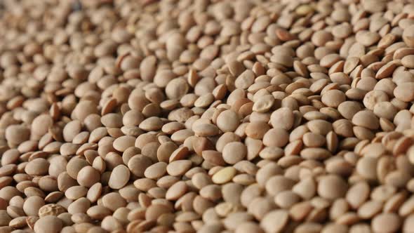 Slow pan over Lens  esculenta on the table 4K 2160p 30fps UltraHD footage - Tiny lentil edible pulse alt