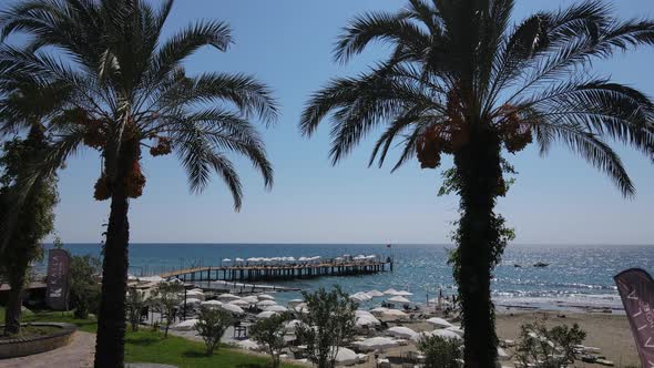 Drone View Towards the Beach Through the Palm Trees