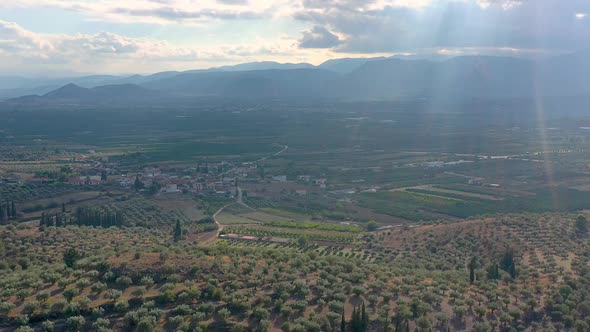 Aerial view of a small cozy Greek village surrounded by olive orchards in a hilly area