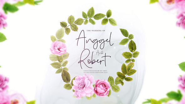 Wedding Intro Openers template preview