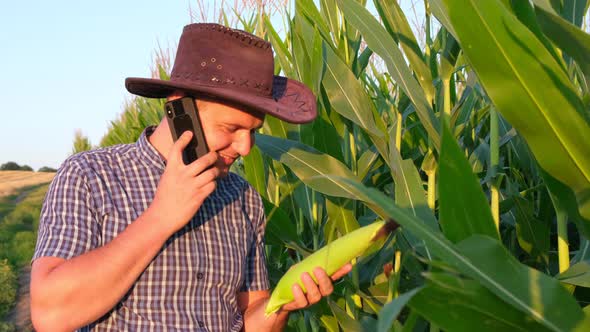 A Young Agronomist Inspects the Corn Crop Against the Backdrop of a Corn Field alt