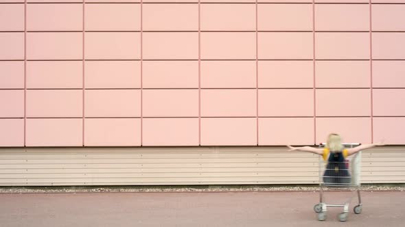 Happy Family with Shopping Carts alt