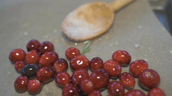 Slow motion macro close up pan down of fresh red cranberries, white sugar, and wooden spoon on tray alt