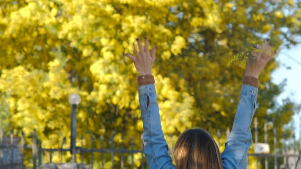 Spring coming!  woman raised hands against mimosa tree with flowers on blue sky and sunny day alt
