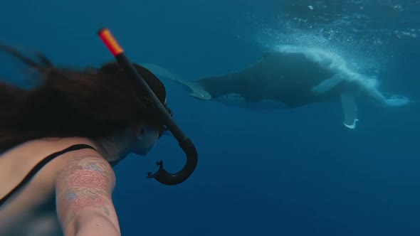 Selfie of a Girl Underwater, Engaging in Snorkeling. Swimming Close To Humpback Whale in Deep Water alt