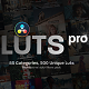 LUTs Pro: Professional Color Grading Pack with 500 LUTs For Davinci Resolve - VideoHive Item for Sale