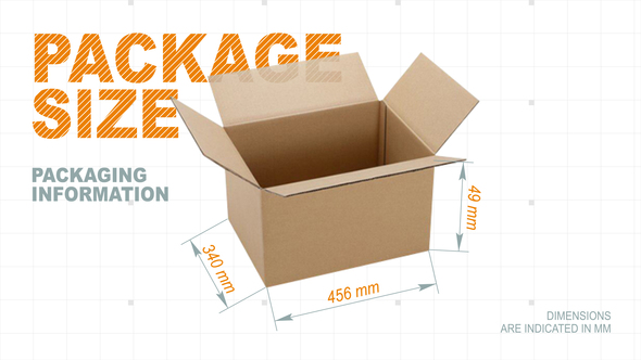 Infographic sizes Infographics template preview