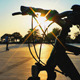Bicycle and Skateboard Area - VideoHive Item for Sale