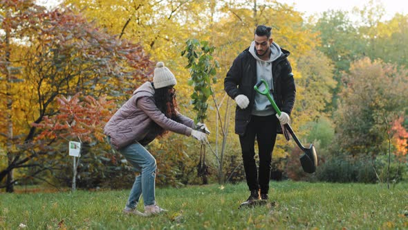 Young Couple Guy and Girl Ecoactivists Plant Tree in Park Engaged in Landscaping Forest Take Care of alt