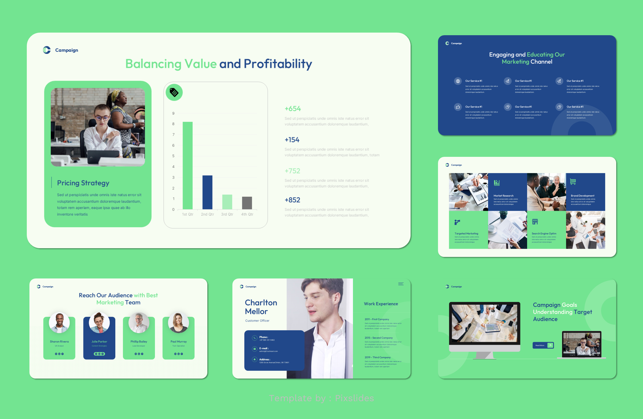 Campaign - Marketing Plan PowerPoint Presentation Template ...