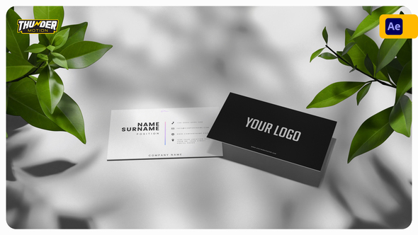 Elegant Business Card Mockup Product Promo template preview