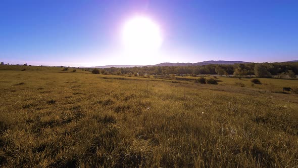 UHD Mountain Meadow Timelapse at the Summer alt
