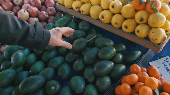 Choosing Avocado in the Supermarket