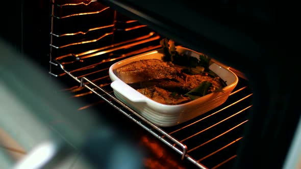 Girl puts a fish dish in a modern oven in a stylish kitchen