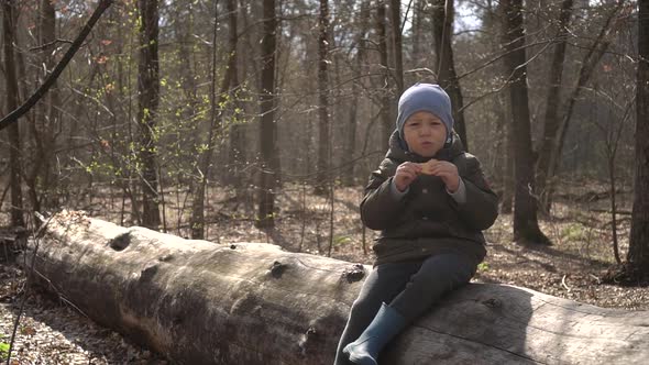 a Cute Little Boy Sitting on a Log, a Felled Tree, in a Forest, Eats Snacks