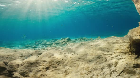 Rocky Seabed Under the Ocean alt