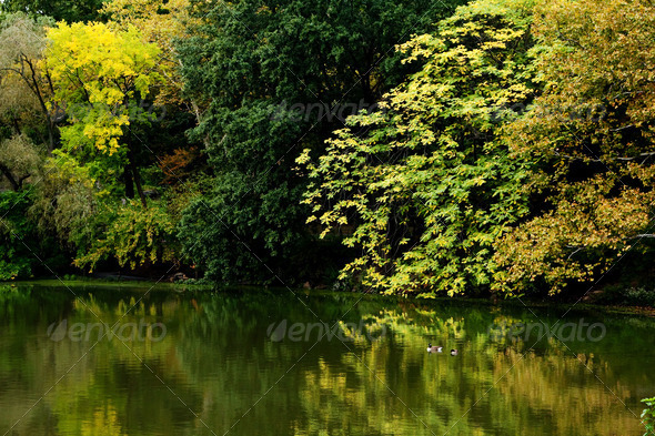 Colorful fall scenery landscape - Stock Photo - Images