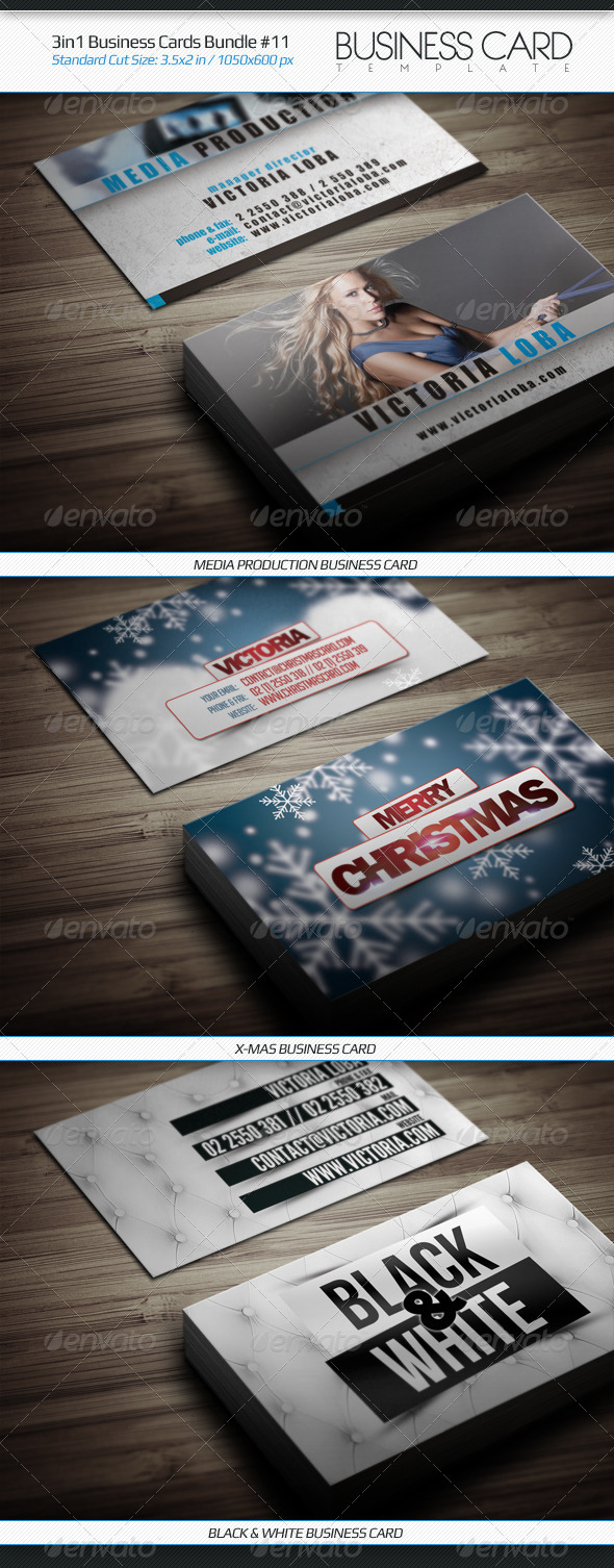 3in1 Business Cards Bundle #11 - Business Cards Print Templates