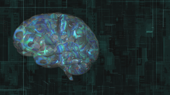 HUD UI Human Brain Scanner
