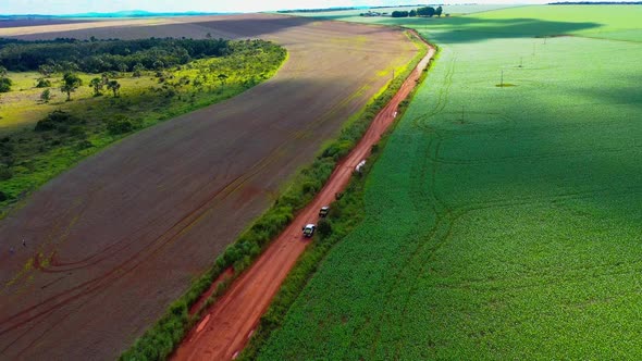 A red dirt road separates deforested farmland from the natural Brazilian savannah - aerial view of t alt