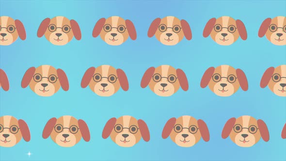 Dog Chihuahua Happy Faces Gif Animation Motion Design Pattern in 3d with Color Background Fashion alt