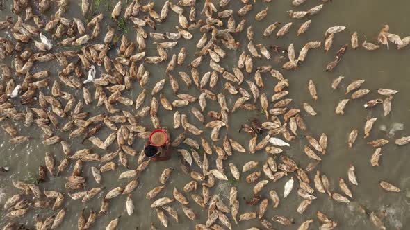 Aerial view of a fisherman along Baulai river in Sylhet state, Bangladesh. alt