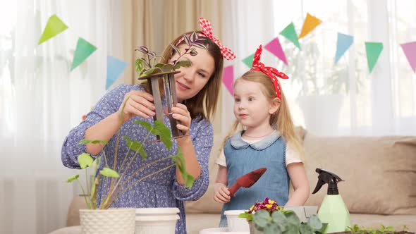 a Mother and Daughter Transplant Sprouted Houseplants From Glass Flasks to Pots alt