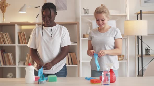 House Cleaning Service Maid Work Female Janitors alt