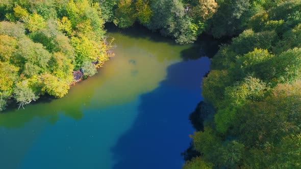 Forest and Lake