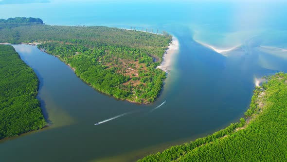 Top view of the boat cruising along the river with mangroves surrounding. alt