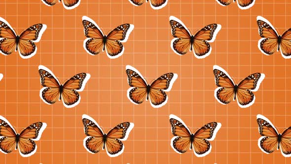 Butterfly Background alt