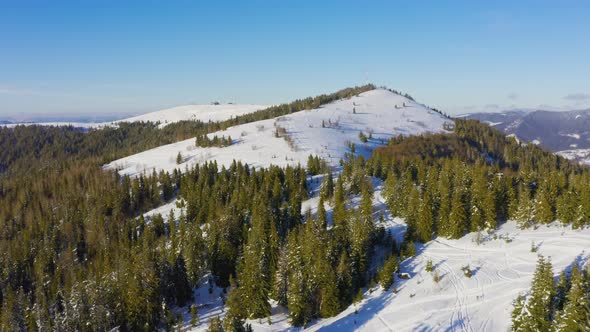 A Small Snowcovered Glade with Many Ski Trails and Single Christmas Trees Against the Background of alt