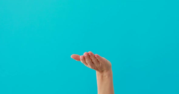 Woman Shows on Something By Palm on Turquoise Background alt