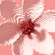 Transformation of a 3D pixel into a digital blooming flower - VideoHive Item for Sale