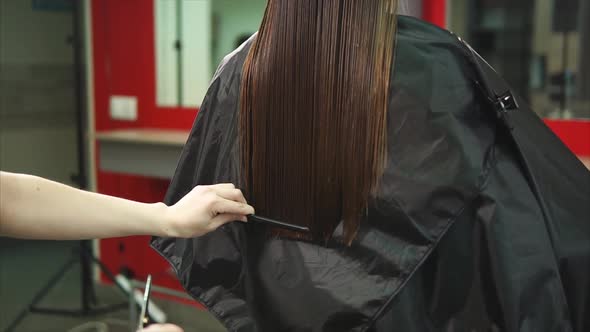 Hairdresser Trims the Ends of Long and Split Hair with a Comb and Scissors alt