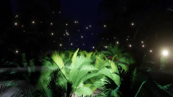 Summer Palm Tree On The Beach 06 HD alt