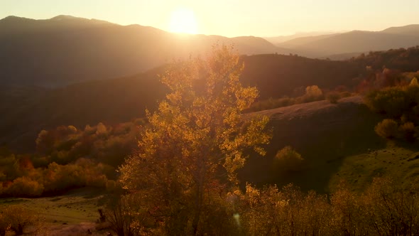 Aerial View of Autumn Mountain Valley Illuminated by Soft Sunlight