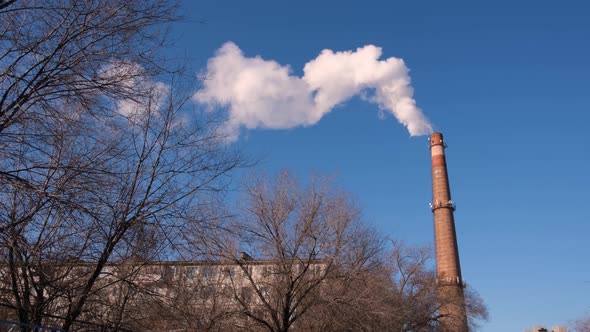 Pipe with white smoke alt