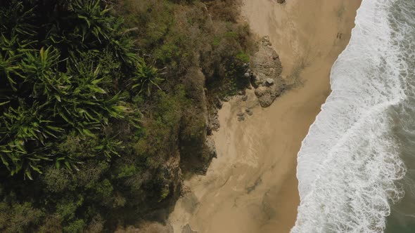 Aerial Top Down View of Tropical Forest in Summer Day and Sandy Beach