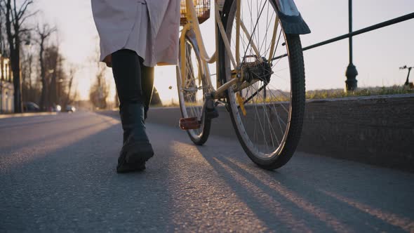 Beautiful Cinematic Shot of a Girl Rolling a Bicycle on the Road Against the Backdrop of a Sunset alt