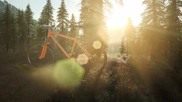 Bicycle in Mountain Forest at Sunset alt