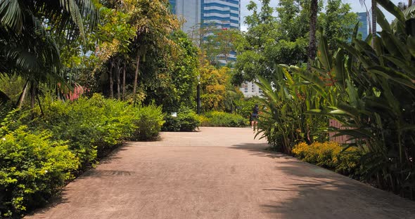 Entering in Beautiful Green Garden