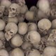 Skulls Transition 4K - VideoHive Item for Sale