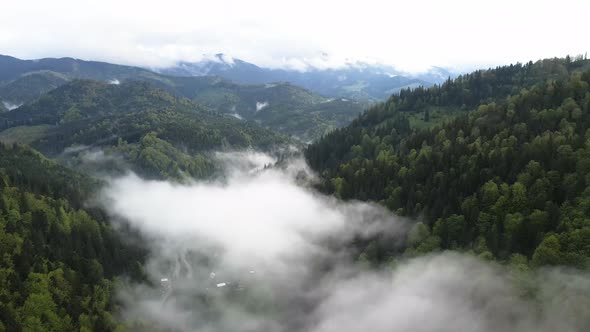 Ukraine, Carpathians: Fog in the Mountains. Aerial alt