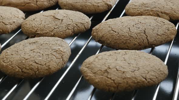 Whole wheat bread product on baking rack 4K 2160p 30fps UltraHD tilting footage - Oven baked  homema alt