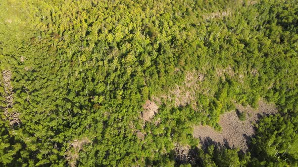 Aerial view of a National forest during golden hour in Minnesota during summer alt